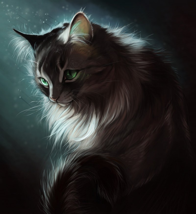 Кошка с зелеными глазами