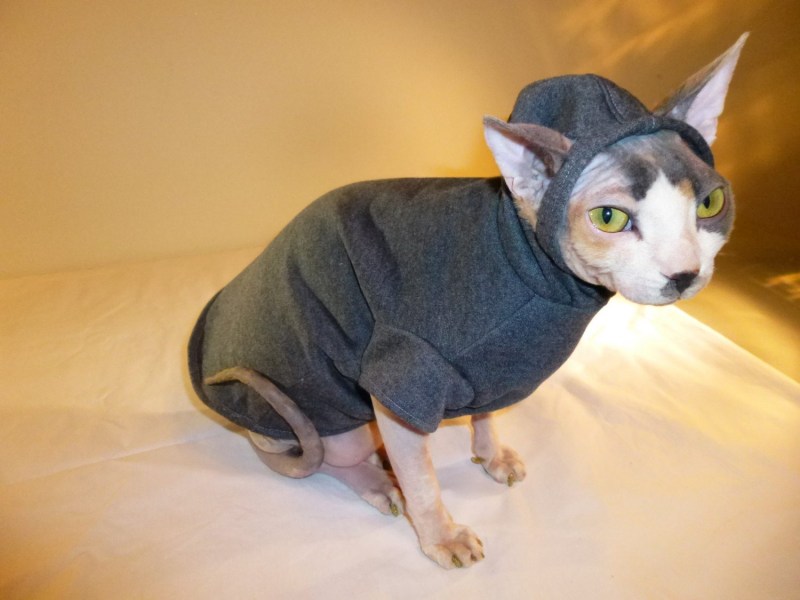 Мытье кошки