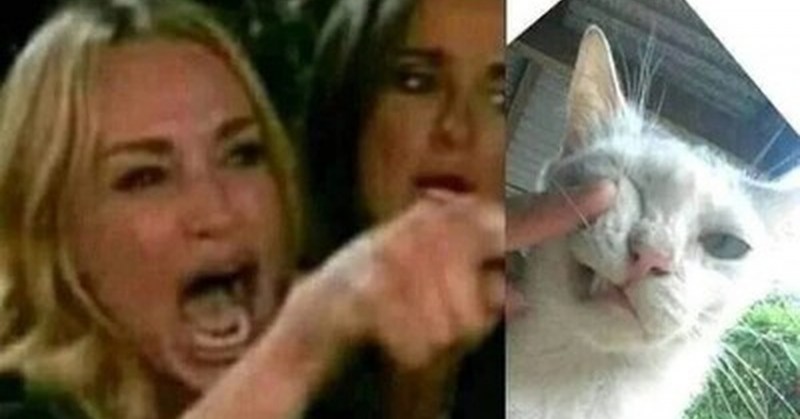 Женщина орет на кота