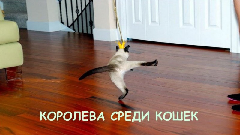 Завтра пятница