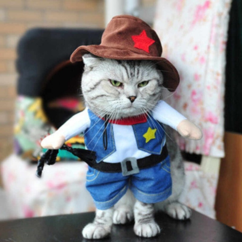 Костюм кошки