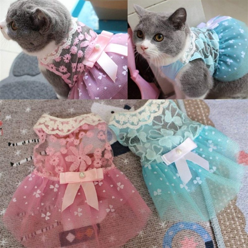 Одежда для кошек