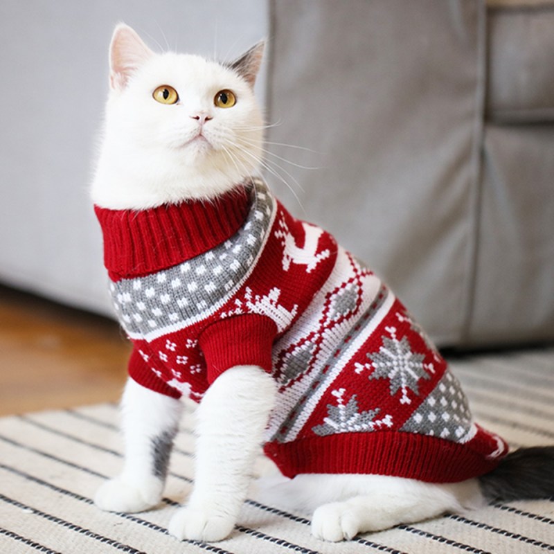 Свитер для кошки