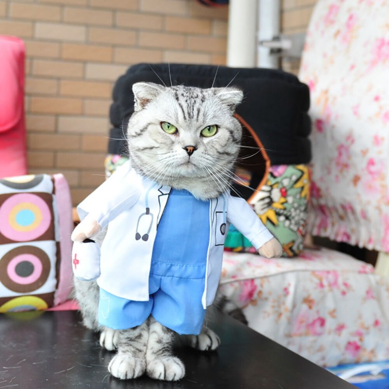 Костюмы для котиков