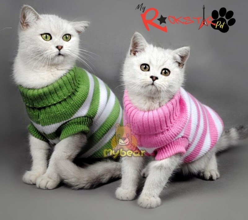 Одежда для кошек