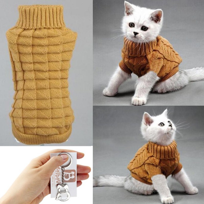 Кот в свитере