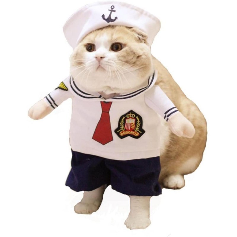 Костюмы для котов