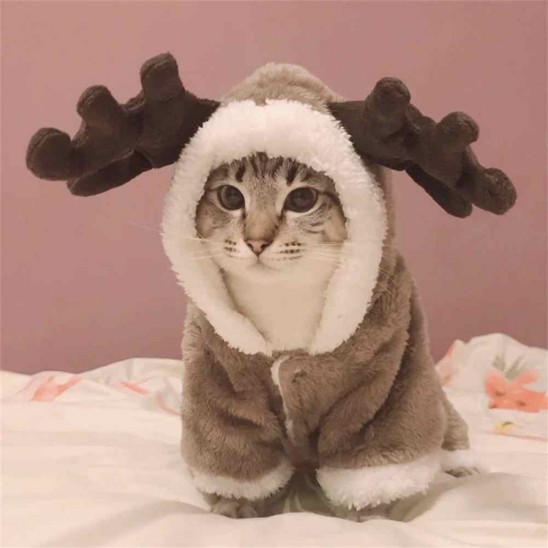 Карнавальный набор "котик"