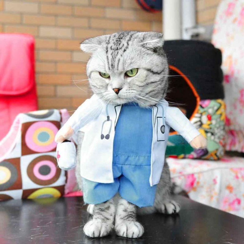 Костюмы для котов
