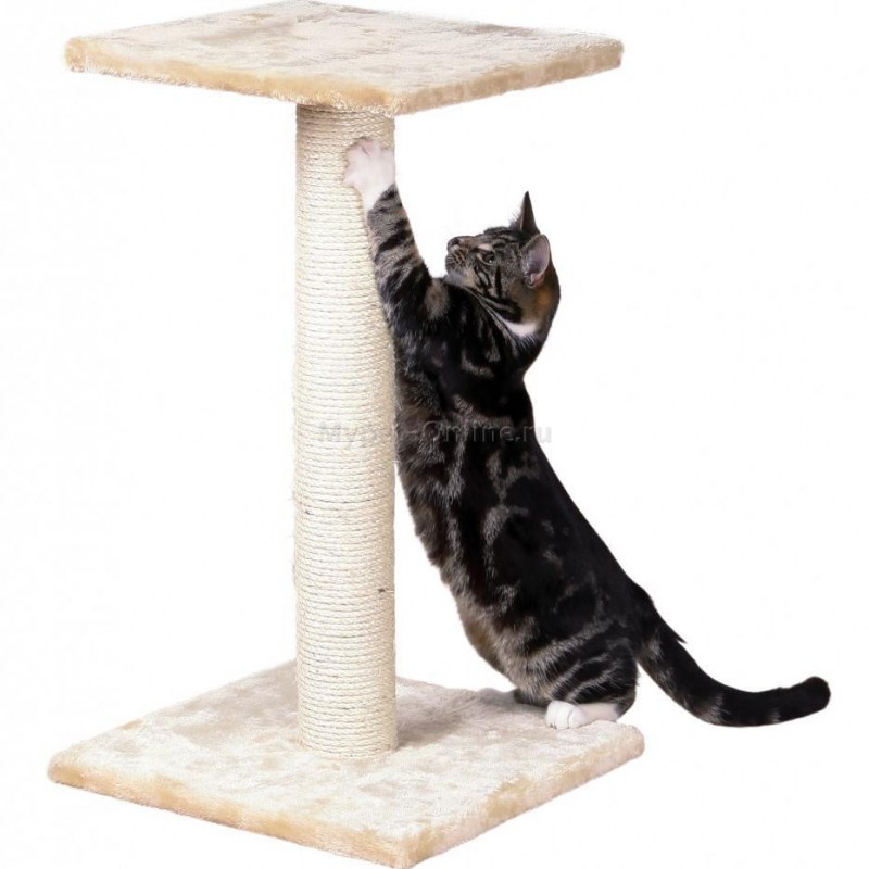 Игровой комплекс Trixie Tarifa 35 х 35 х 52 см