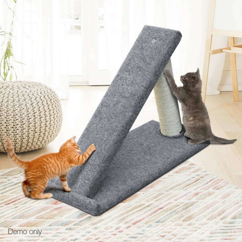 Котенок играющий с когтеточкой