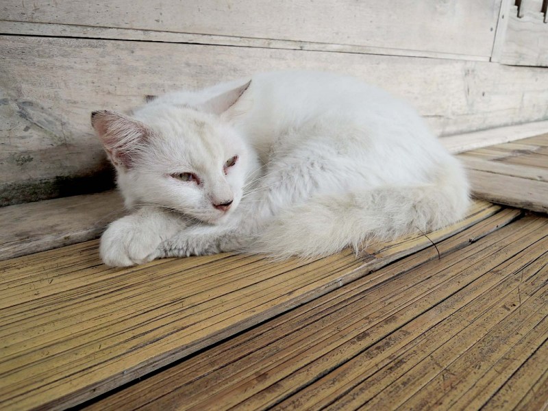 Домик для кота белый