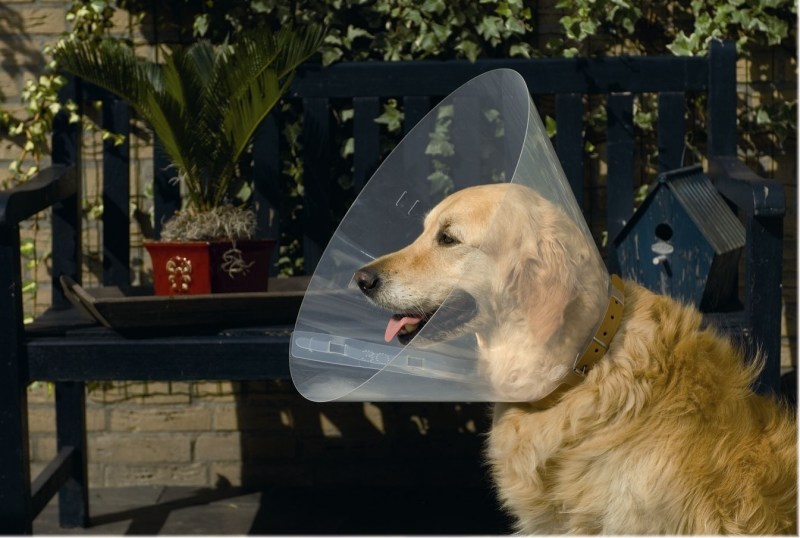 Защитный воротник Kruuse Buster clic Collar 20 см