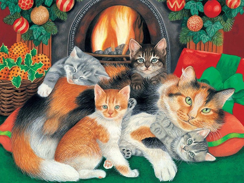 Мать котов