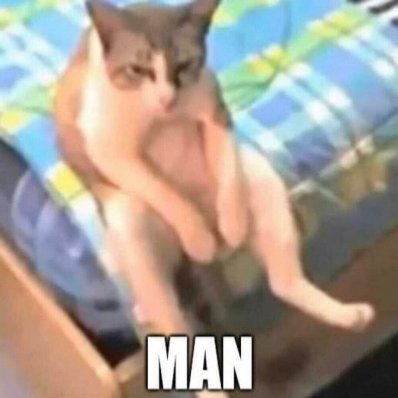 Печаль котик