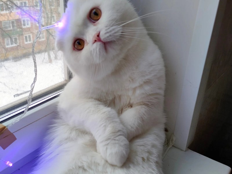 Карина Лындина