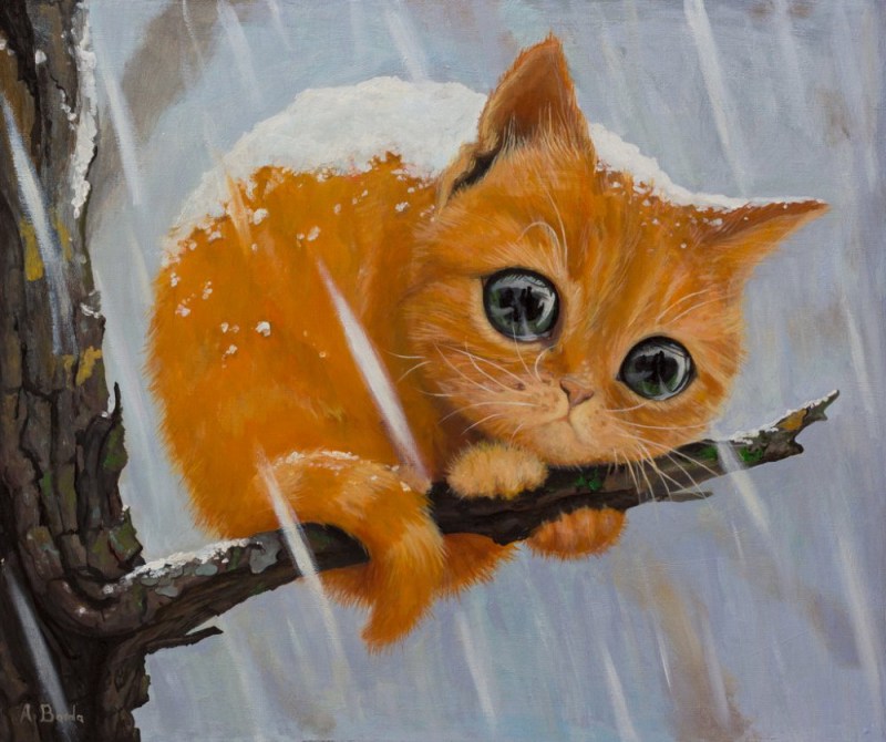 Чёрный кот