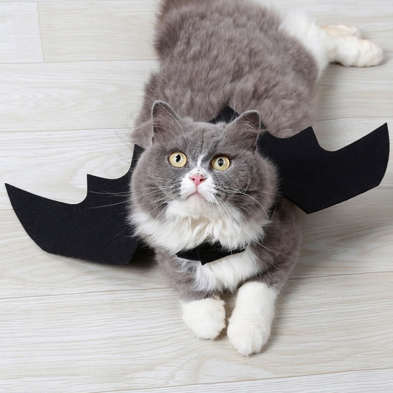 Костюмы для котов