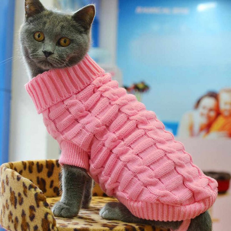 Курточка для кота