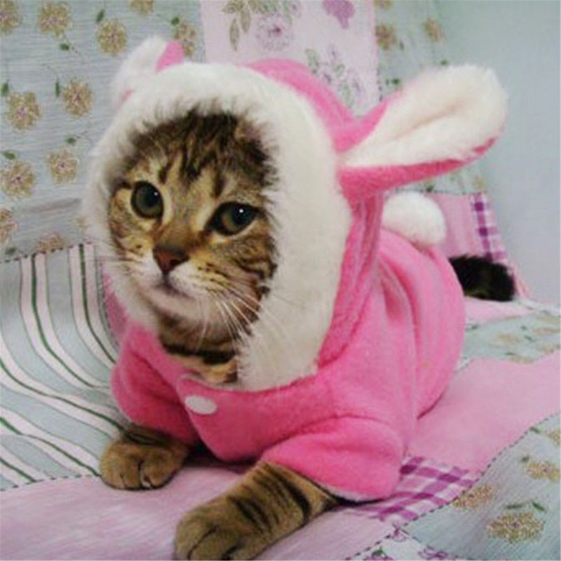 Кошка в платье