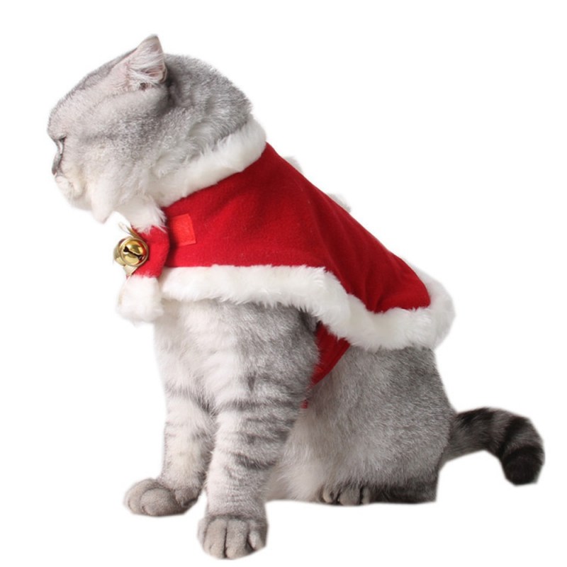 Свитер для кошки