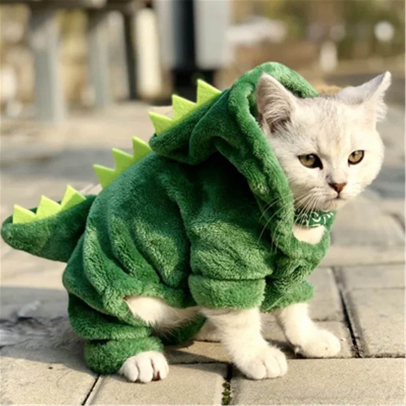 Одежда для котов