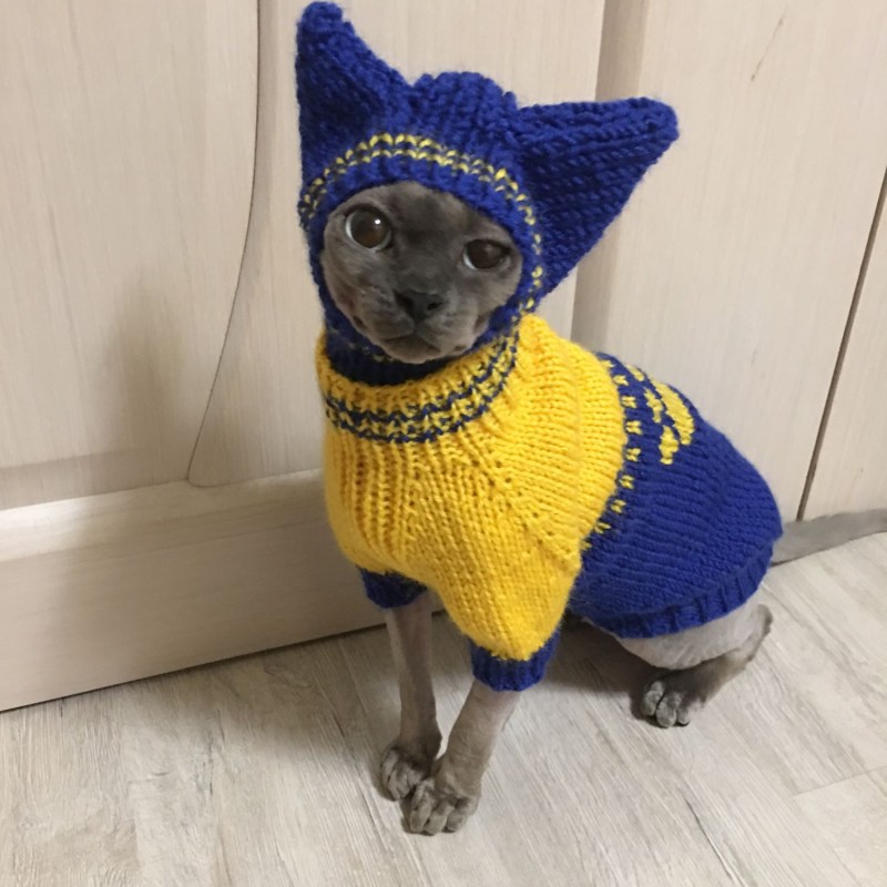 Одежда для маленьких кошечек