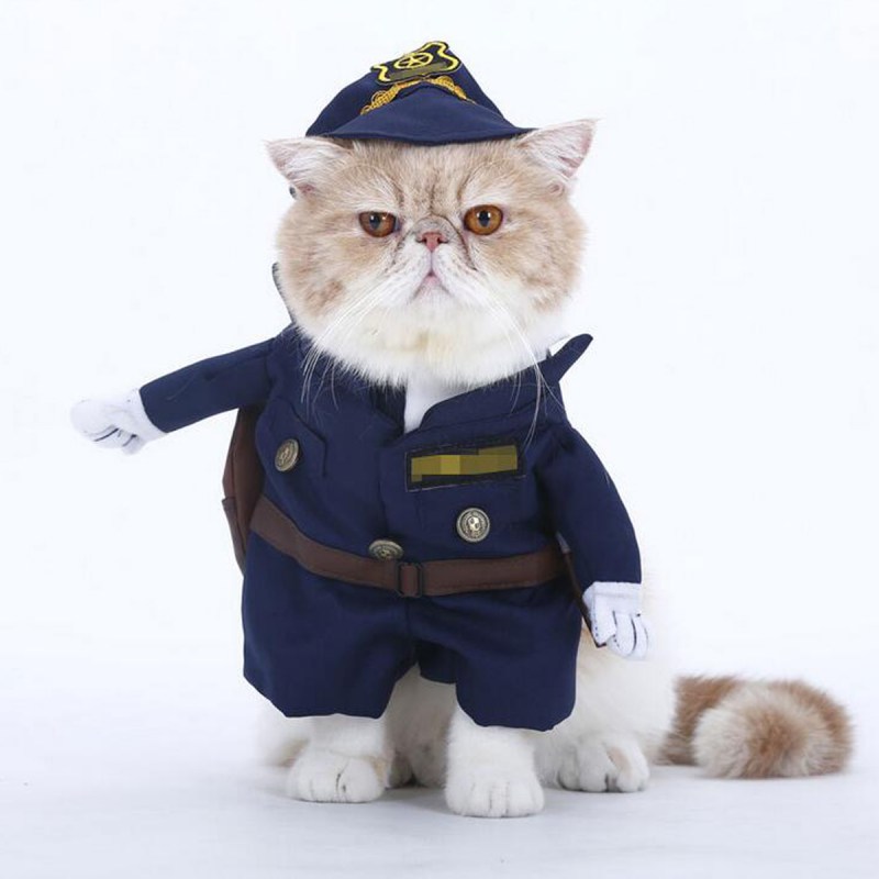 Костюм кошки