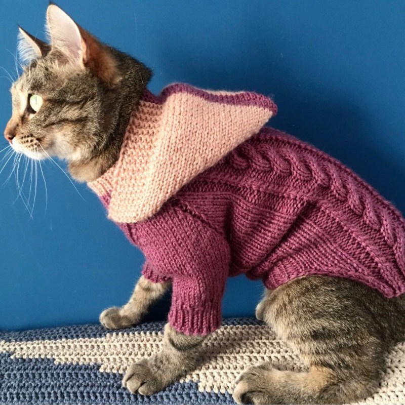 Костюмы для котов