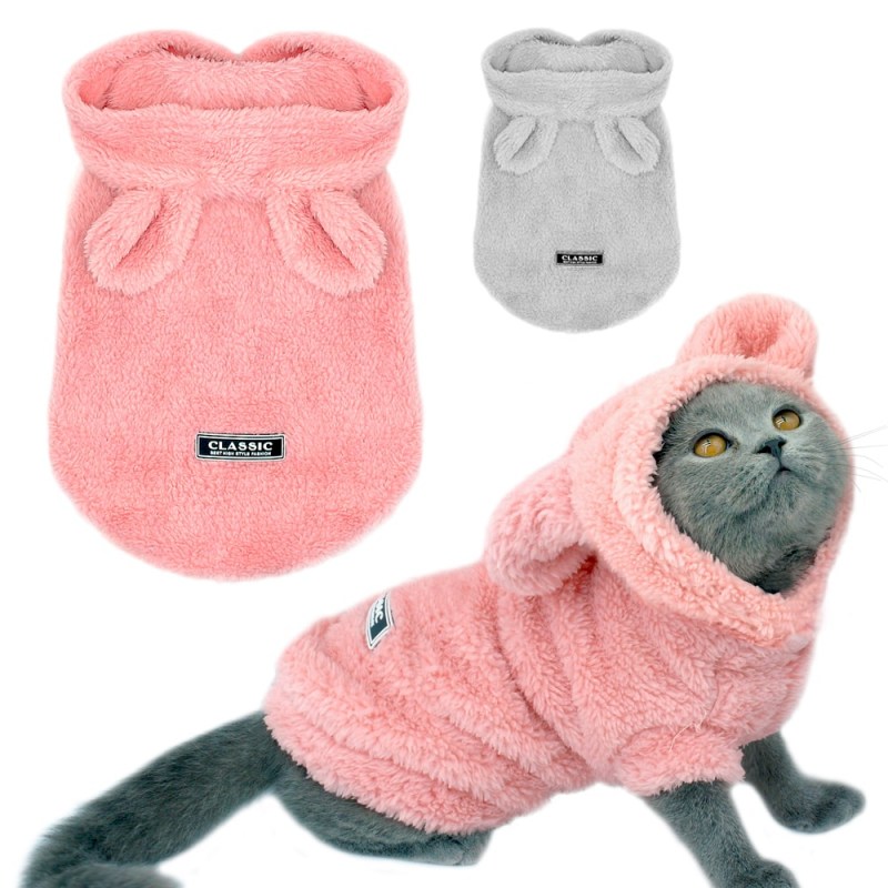 Кот в костюме