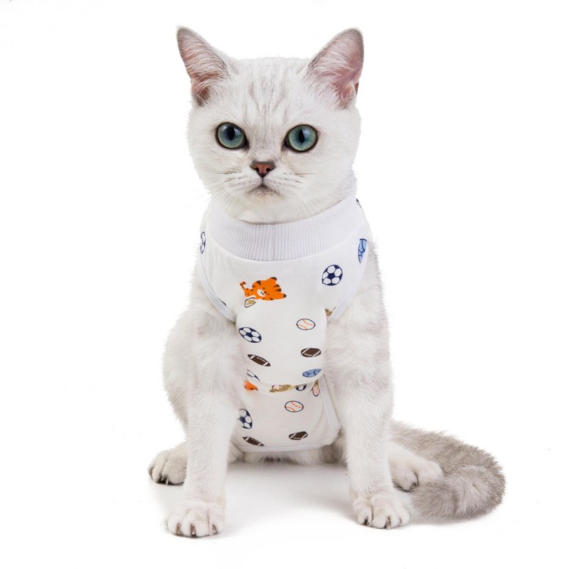 Кот в кофте