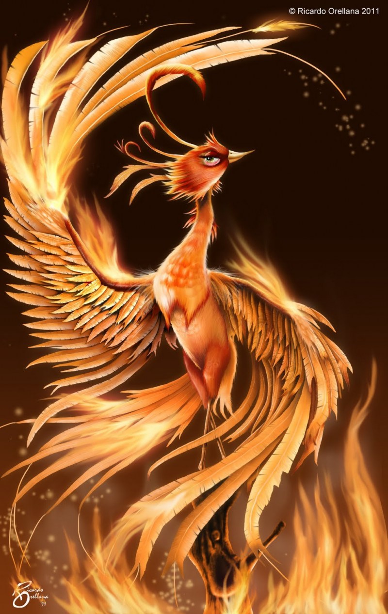 Кот Альберт Феникс
