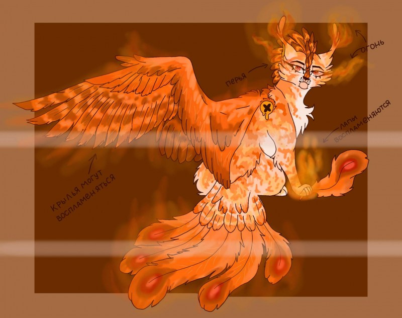 Кошка Феникс