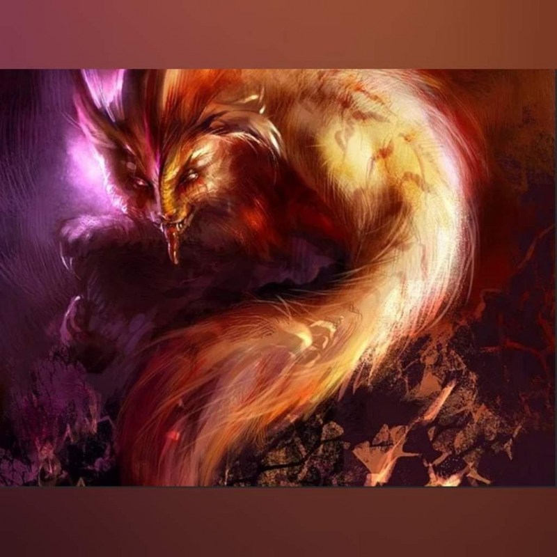Дневник Феникс кошка