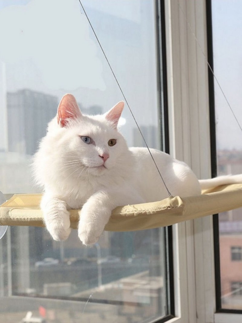 Оконный гамак для кошек