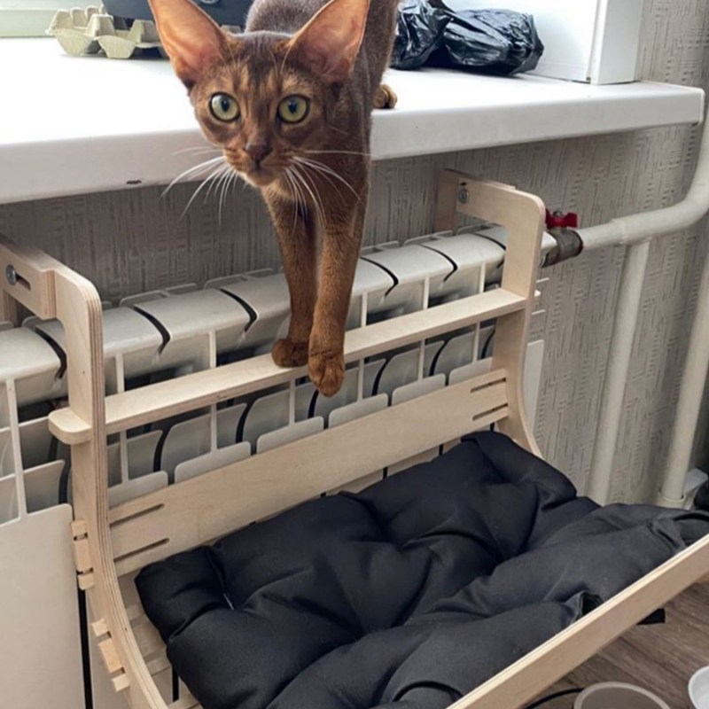 Кошачий гамак