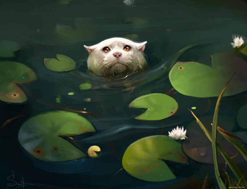 Водяной кот