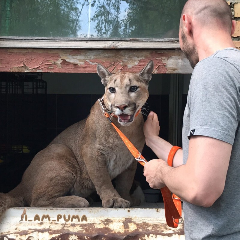 Пума Месси Инстаграмм