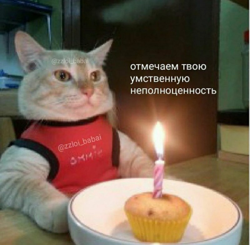 Кот со свечкой день рождения