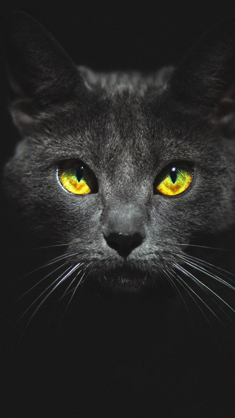 Кошачий глаз