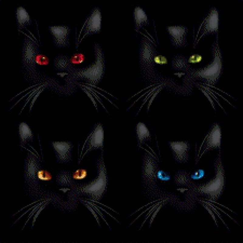 Кошачьи глаза на черном фоне