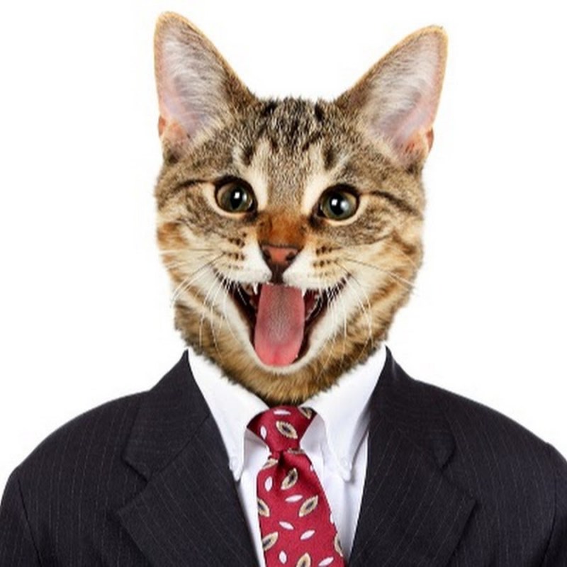 Кот в пиджаке