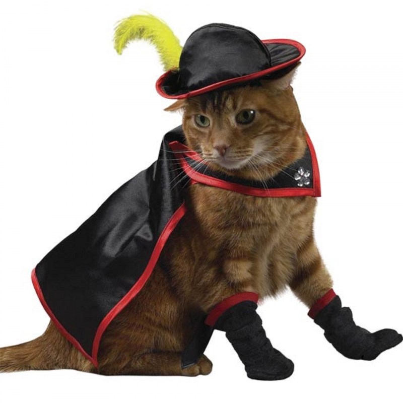 Костюм кошки