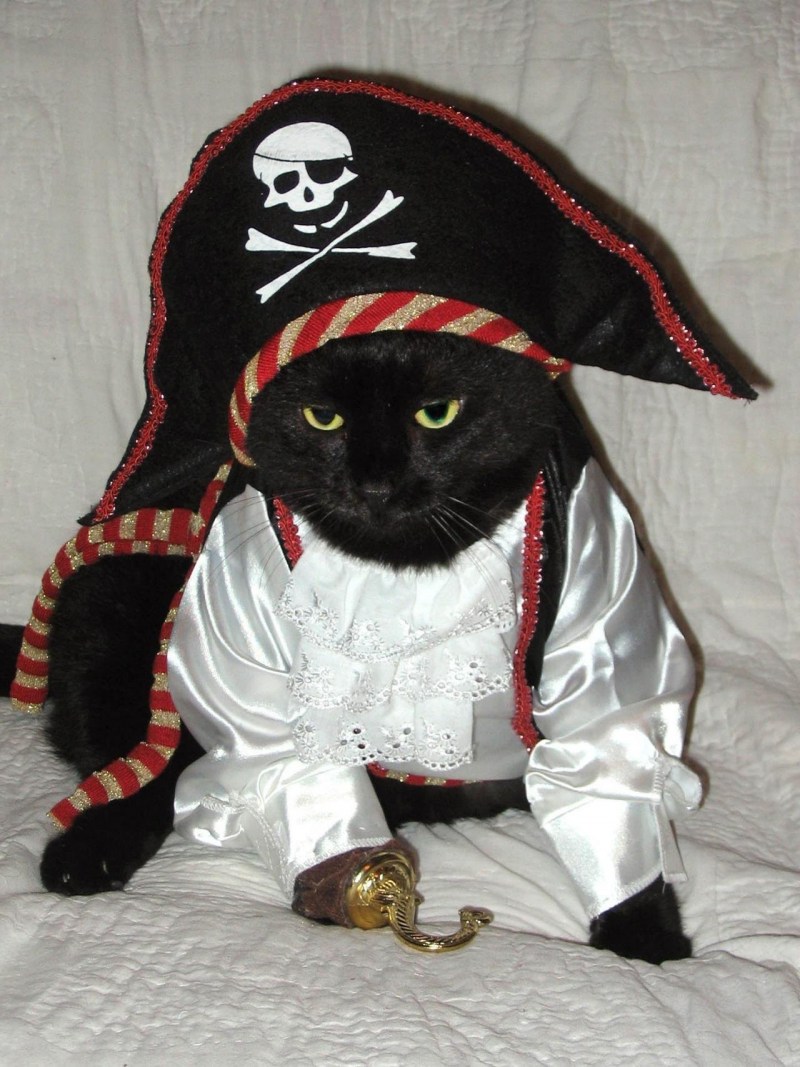 Костюм кошки на Хэллоуин