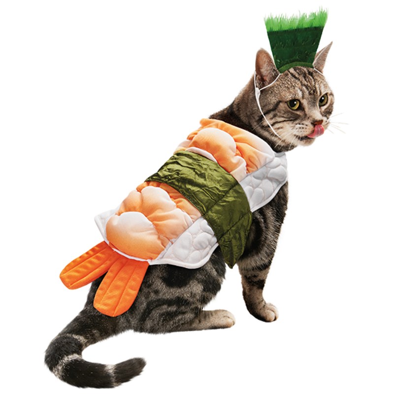 Костюмчики для котиков