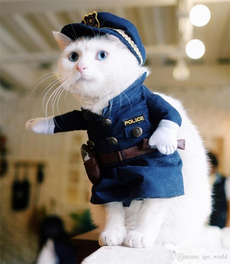 Кот полицейский