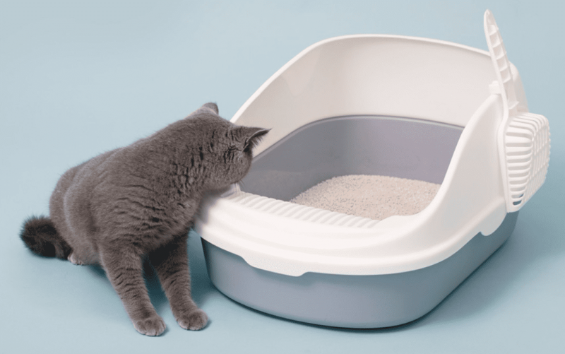 Лоток для кошек Xiaomi Semi-open Cat