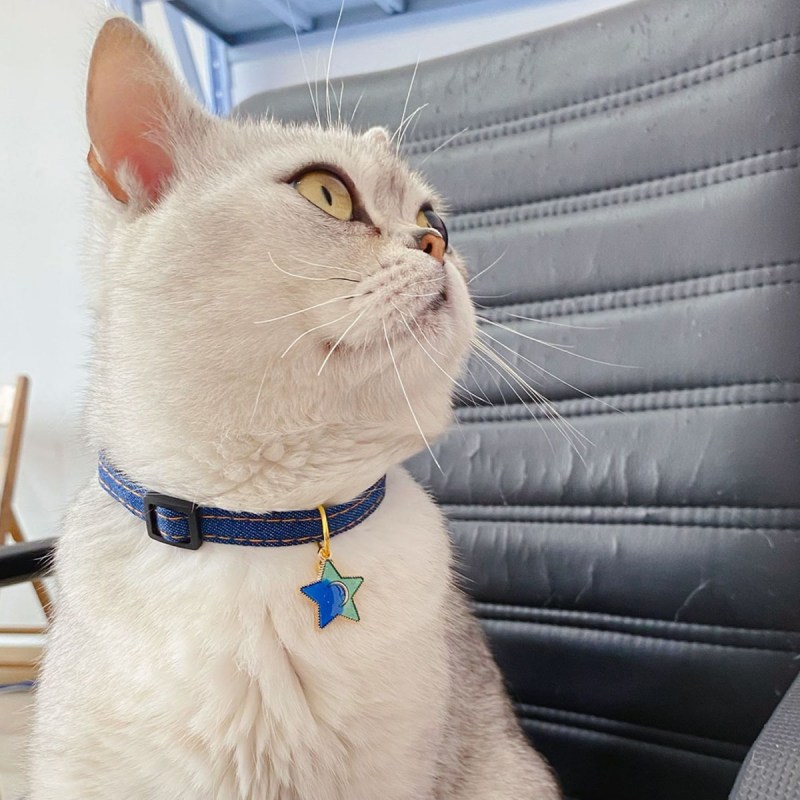 Ошейник для кота