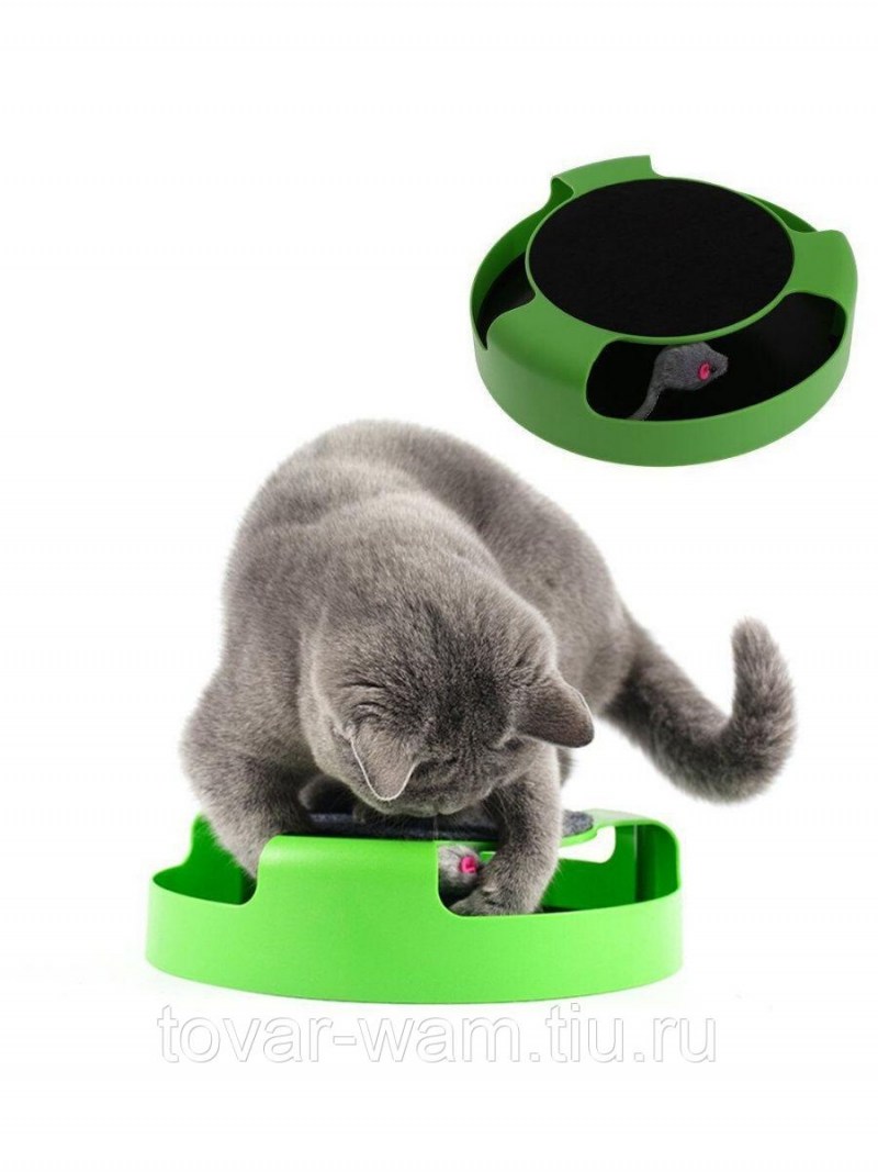 Игрушка для кошек Поймай мышь catch the Mouse