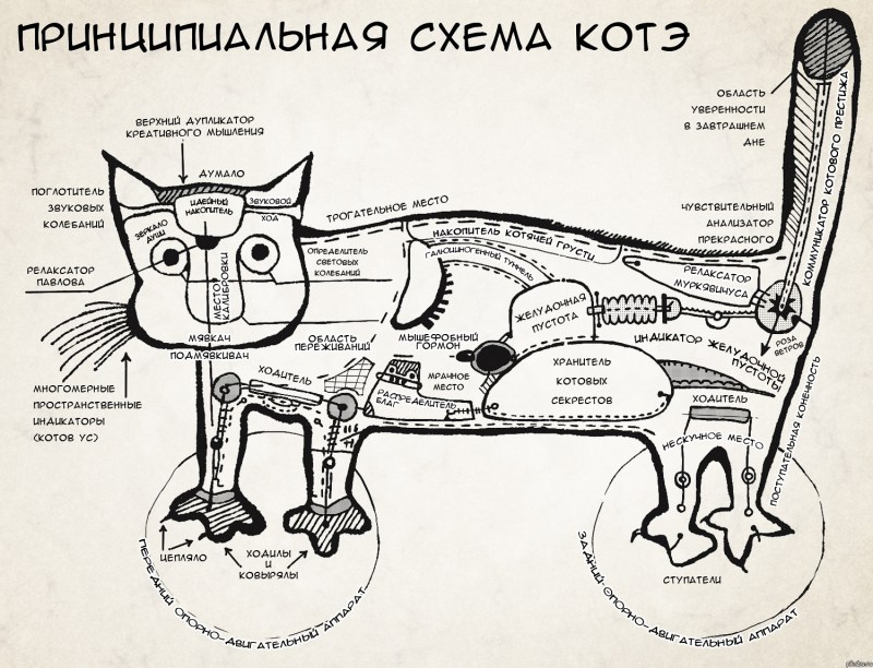 Кот играет в гольф